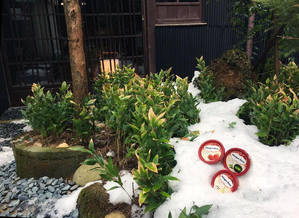 Ichii No Niwa 一棟貸切の古民家宿 櫟の庭 Takayama  Exterior photo